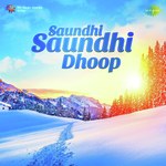 Saundhi Saundhi Dhoop - Bombay S. Jayashri. Song Download